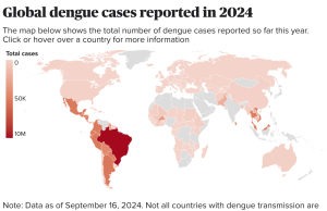2024 dengue epidemic in Argentina Argentina Dengue 2024 Outbreak Map