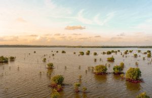 Hurricane Helene Kills 37 in Georgia After 110 mph Strike Floodwater surrounds homes and submerged cars in an Atlanta neighborhood after Hurricane Helene’s 110 mph winds and torrential rain.