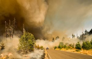 Firefighter Dies in NSW and Tasmania Bushfires Firefighters battle intense flames engulfing a rural property in New South Wales during the December 2025 bushfire disaster.