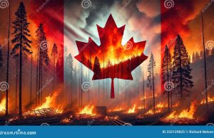 2025 Canadian wildfires Forest Fire Scene
