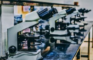 KU Team Proves Rare-Metal Catalyst Yields Fossil-Free Hydrogen Laboratory glassware bubbles as researchers test a rhodium catalyst that splits water to release clean hydrogen gas under lab lighting.