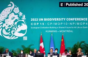 Kunming-Montreal Global Biodiversity Framework Kunming Montreal Cop15 Biodiversity Agreement