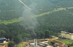 India Restricts Malaysian Palm Oil Imports A tanker ship loaded with palm oil sits at a port, with Indian customs officials inspecting cargo documents.