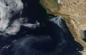 Palisades Fire Kills 12, Destroys 6,837 Structures Firefighters battle the Palisades Fire in the Santa Monica Mountains, with flames consuming hillside homes and vegetation.