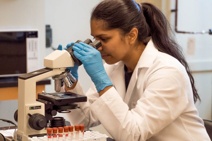 Scientists Reveal 3D Nanoscale View of T Cell Dome Attacking Cancer